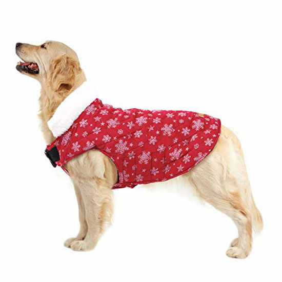 Large dog christmas sale coat