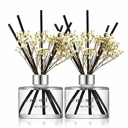 Picture of Cocodor Preserved Real Flower Reed Diffuser / April Breeze / 6.7oz(200ml) / 2 Pack / Reed Diffuser Set, Oil Diffuser & Reed Diffuser Sticks, Home Decor & Office Decor, Fragrance and Gifts