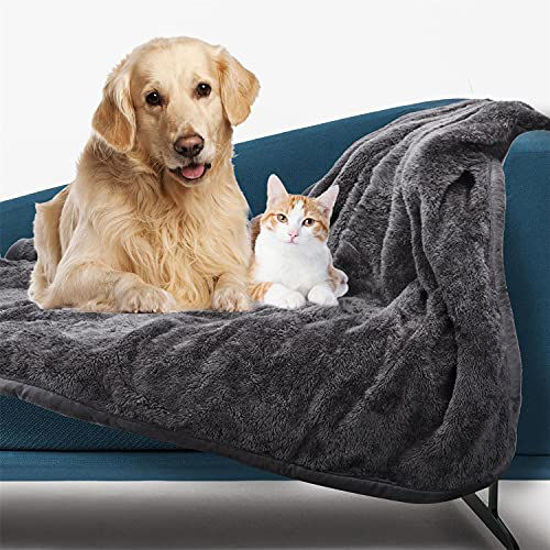 Sherpa fleece pet clearance blanket