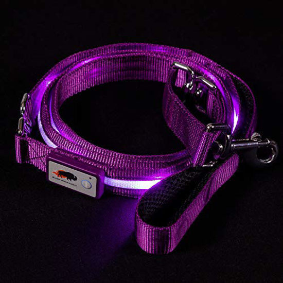 Blazin safety 2024 led dog collar