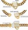 Picture of Aiyidi Gold Dog Chain Collar 10mm Wide Cuban Link Puppy Collar Stainless Steel with CZ Diamond Lock Bling Choke Collar for Dogs