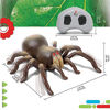 Picture of DISCOVERY KIDS RC Moving Tarantula Spider, Wireless Remote Control Toy for Kids, Great for Pranks and Halloween Decorations, Realistic Scurrying Movement, Glowing Scary Red LED Eyes