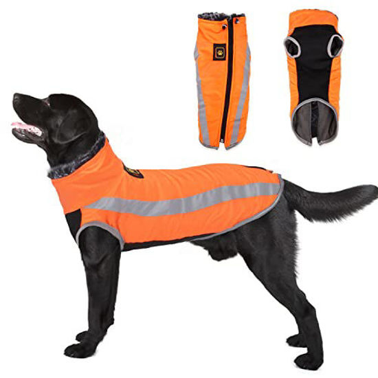 Cold coat clearance for dogs