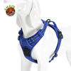 Picture of Chai's Choice Best Outdoor Adventure Dog Harness (Royal Blue Medium) Please Measure Carefully Before Ordering