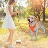 Picture of BARKBAY No Pull Dog Harness Front Clip Heavy Duty Reflective Easy Control Handle for Large Dog Walking with ID tag Pocket(Orange,L)