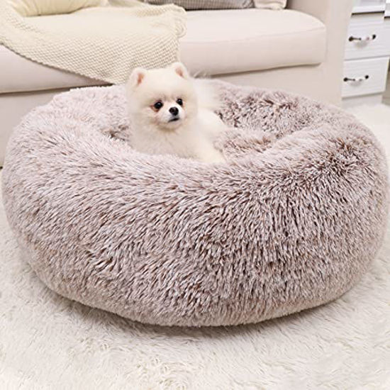 Comfy clearance calming dog