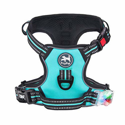 Picture of PoyPet LED Illuminated Dog Harness No Pull Reflective Adjustable Pet Vest with Handle for Small Medium Large Dogs(Mint Blue,XL)