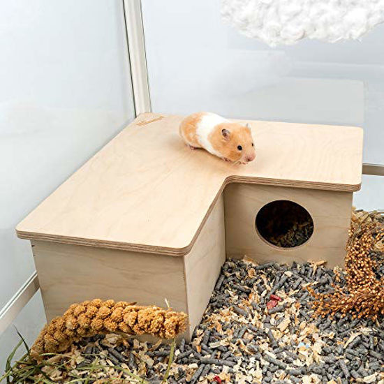 Getuscart- Niteangel Multi-chamber Hamster House Maze: - Multi-room 