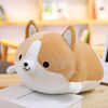 Picture of Corgi Dog Plush Pillow, Soft Cute Shiba Inu Akita Stuffed Animals Toy Gifts (Brown, 17.7 in)