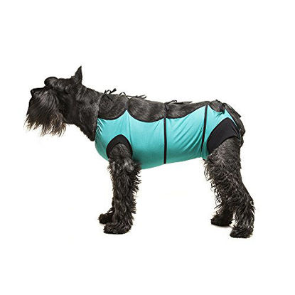 Picture of E-Collar Alternative for Cats and Dogs Designed to Protect Abdominal Wounds and Skin Disease. Award Winning and Patented Design Recommended by Veterinarians Worldwide. (X-Large, Teal Green)