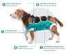 Picture of E-Collar Alternative for Cats and Dogs Designed to Protect Abdominal Wounds and Skin Disease. Award Winning and Patented Design Recommended by Veterinarians Worldwide. (X-Large, Teal Green)