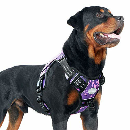 Service dog harness clearance purple