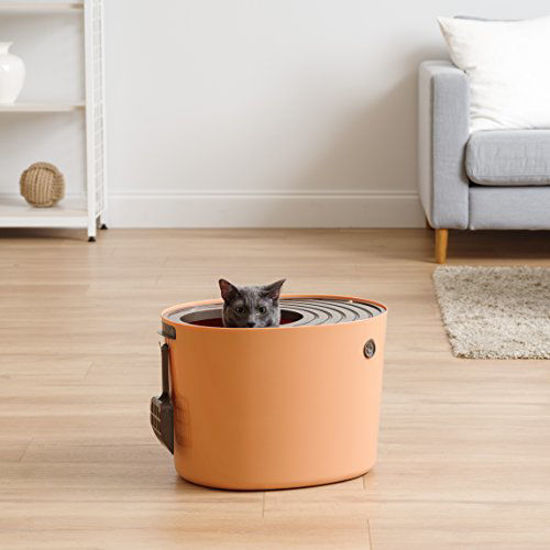 Iris top outlet entry cat litter