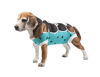 Picture of E-Collar Alternative for Cats and Dogs Designed to Protect Abdominal Wounds and Skin Disease. Award Winning and Patented Design Recommended by Veterinarians Worldwide. (Medium-Large, Teal Green)