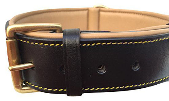 Picture of Soft Touch Collars Black Leather Padded Dog Collar with Heavy Duty Brass Buckle, Size XLarge, 28" Long x 1.75" Wide, Neck Size 22" to 25" Inches