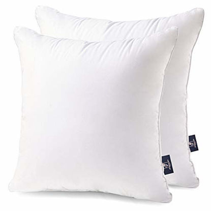 https://www.getuscart.com/images/thumbs/0854280_phantoscope-20-x-20-pillow-inserts-throw-pillow-inserts-with-100-cotton-cover-square-forms-pillow-sh_415.jpeg