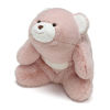 Picture of GUND Snuffles Teddy Bear Stuffed Animal Plush, Rose Pink, 10"