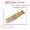 Picture of U Tip Pre Bonded 100% Remy Human Hair Extensions 100 Strands Per Package Nail Tip Italian Keratin Fushion Hairpiece Long Straight Silky For Women #18P613 Ash Blonde&Bleach Blonde 14 inches 50g