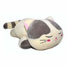 Picture of Vintoys Very Soft Cat Big Hugging Pillow Plush Kitten Kitty Stuffed Animals Gray 23.5"