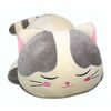 Picture of Vintoys Very Soft Cat Big Hugging Pillow Plush Kitten Kitty Stuffed Animals Gray 23.5"