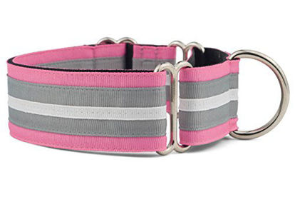 Picture of If It Barks - 1.5" Martingale Collar for Dogs - Adjustable - Nylon - Strong and Comfy - Ideal for Training - Made in USA - Small, Spunky