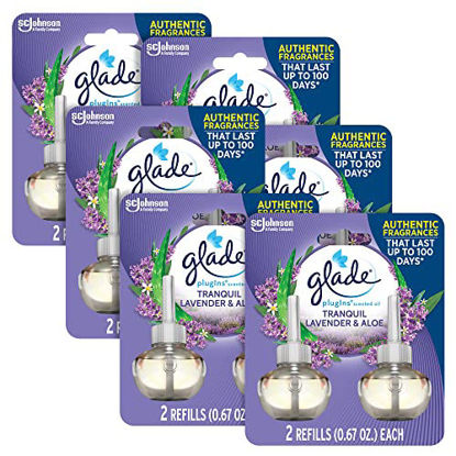 Picture of Glade PlugIns Refills Air Freshener, Scented and Essential Oils for Home and Bathroom, Tranquil Lavender & Aloe, 1.34 Oz, 12 Count