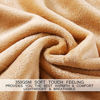 Picture of Soft Blanket Twin Size Fleece Warm Fuzzy Throw Blankets for The Bed Sofa Lightweight 350GSM HOZY Camel 66" 90"