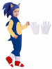 Picture of Cartoon Costumes For Kids Cosplay Full Bodysuit Hedgehog Onesie Halloween Pretend Play,M