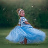 Picture of Girls Princess Dress Fancy Costume Role Play Ball Gown Halloween Party Dress up (blue 4, 4-5 Years)