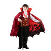 Picture of Child Boy Vampire costume red and bat (Medium (8-10yr))