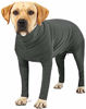 Picture of Etdane Dog Onesie Prevent Shedding Hair Surgery Recovery Suit Pet's Bodysuit Sport Shirt Reduce Anxiety Jumpshirt Gray/XXXL