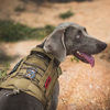 Picture of OneTigris Tactical Dog Harness - Fire Watcher Comfortable Patrol K9 Vest (Coyote Brown, Medium)