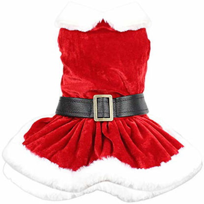 Picture of Parisian Pet Dog Cat Pet Xmas Holiday Christmas Mrs Claus Winter Dress, M