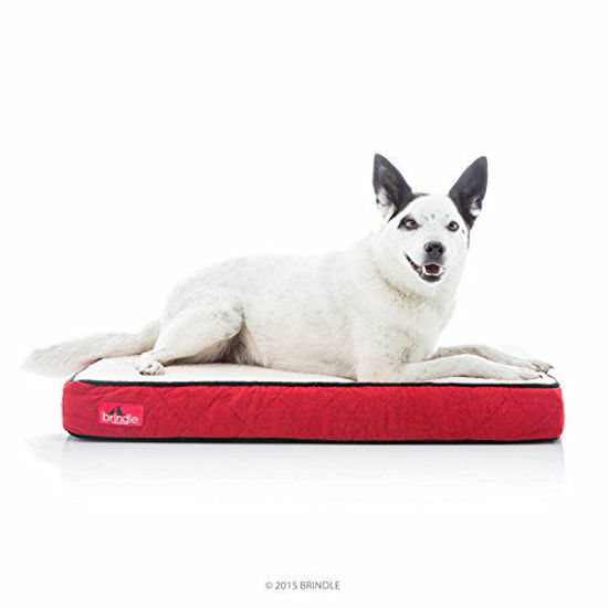 Brindle memory foam store bed