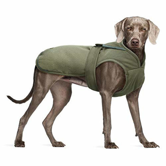 Cold weather dog clearance vest