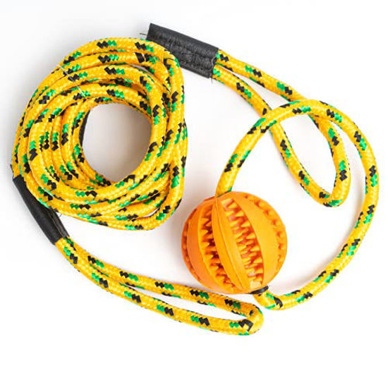 Picture of Runball Outdoor Interactive Dog Rope Toy, Ball on a Rope Lure Toy for Training, Exercise, Agility, Chase, Pull, and Tug of War, 10 ft Rope, 2.75 Inches Rubber Orange Ball, for Medium and Large Dogs