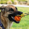 Picture of Runball Outdoor Interactive Dog Rope Toy, Ball on a Rope Lure Toy for Training, Exercise, Agility, Chase, Pull, and Tug of War, 10 ft Rope, 2.75 Inches Rubber Orange Ball, for Medium and Large Dogs