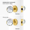 Picture of CLCTK Glass Door Knobs Interior with Lock, Privacy Bathroom Bedroom Door Knobs, Satin Brass