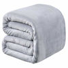 Picture of Richave Polar Fleece Blankets Queen Size for The Bed Extra Soft Brush Fabric Super Warm Sofa Blanket 90" x 90"(Light Gray Queen)