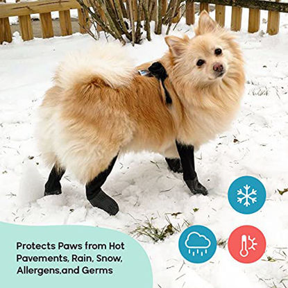 GetUSCart- Walkee Paws Dog Leggings, The World's First Dog Leggings That  are Dog Shoes, Dog Boots and Dog Socks All in One, for Protecting Your Pet  from Hot Pavements, Rain, Snow, Mud