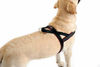 Picture of ComfortFlex Sport Harness, Medium, Berry