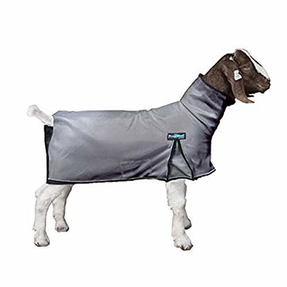 Picture of Weaver Leather ProCool Goat Blanket with Reflective Piping, Medium, Gray