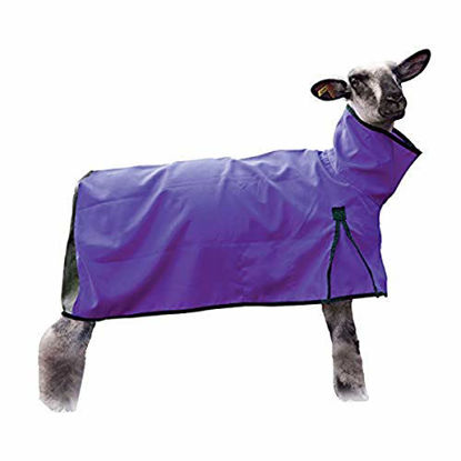 Picture of Weaver Leather Sheep Blanket with Mesh Butt, Medium, Purple