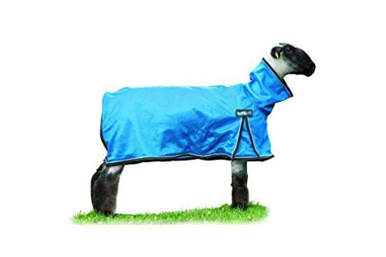 Picture of Weaver Leather Livestock ProCool Mesh Sheep Blanket with Reflective Piping , Blue, Small