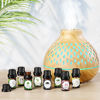 Picture of Essential Oils Set, Aromatherapy Essential Oil Kit for Diffuser, Humidifier, Massage, Skin Care (32 x 5ml) - Eucalyptus, Lavender, Tea Tree, Peppermint, Lemongrass, Frankincense, Cinnamon, Sandalwood