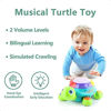 Picture of Musical Turtle Toy, English Spanish Learning, Electronic Toys W/ Lights and Sounds, Early Educational Development Birthday Gift 6 7 8 9 10 11 12 Months, 1 2 Year Olds Baby Infants Toddlers Boys Girls