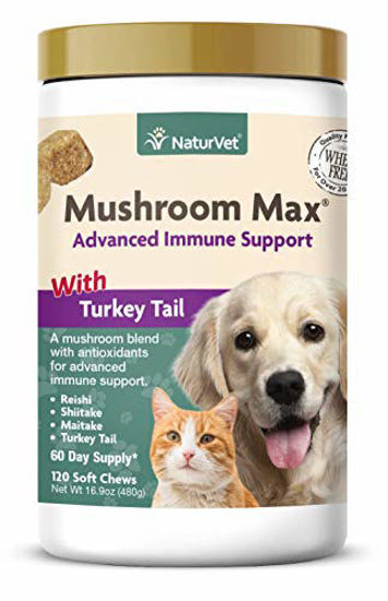 Picture of NaturVet Mushroom Max Advanced Immune Support Dog Supplement - Helps Strengthen Immunity, Overall Health for Dogs - Includes Shitake Mushrooms, Reishi, Turkey Tail - 120 Ct.