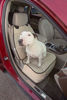 Picture of Front Seat Cover for Dogs (Tan) - USA Based Company