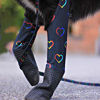 Picture of Walkee Paws Dog Leggings, The World's First Dog Leggings That are Dog Shoes, Dog Boots and Dog Socks All in One, for Protecting Your Pet from Hot Pavements, Rain, Snow, Mud and Dirt (Hearts, Small)