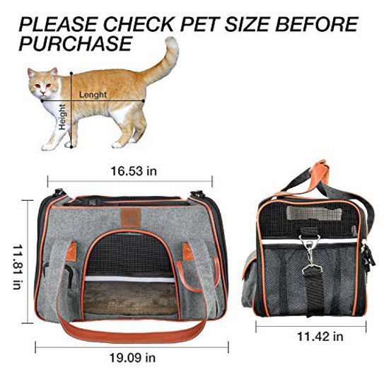 Car safe hotsell cat carrier